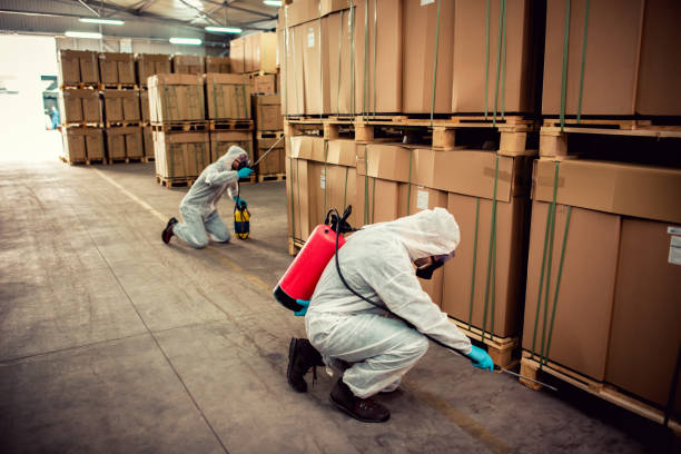 Best Mosquito Control Services  in Ingram, TX