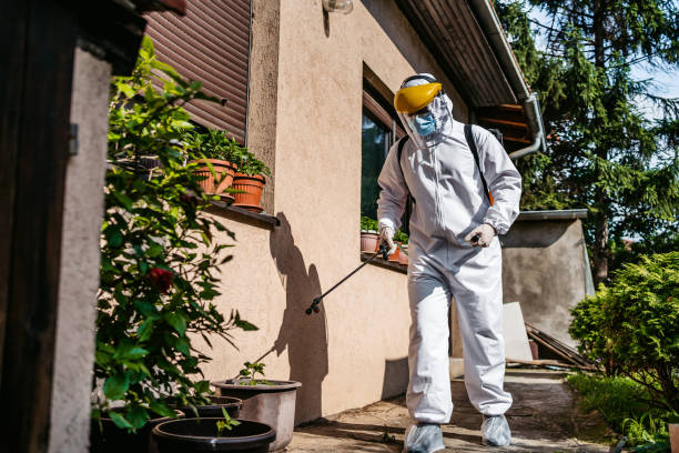 Best Exterminator Services  in Ingram, TX