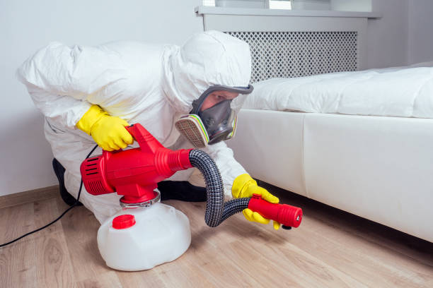 Best Pest Removal Services  in Ingram, TX