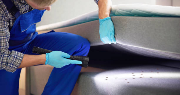 Best Pest Inspection Near Me  in Ingram, TX