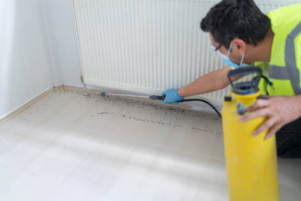 Pest Prevention Services in Ingram, TX