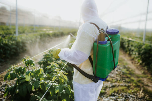 Best Best Pest Control Companies  in Ingram, TX